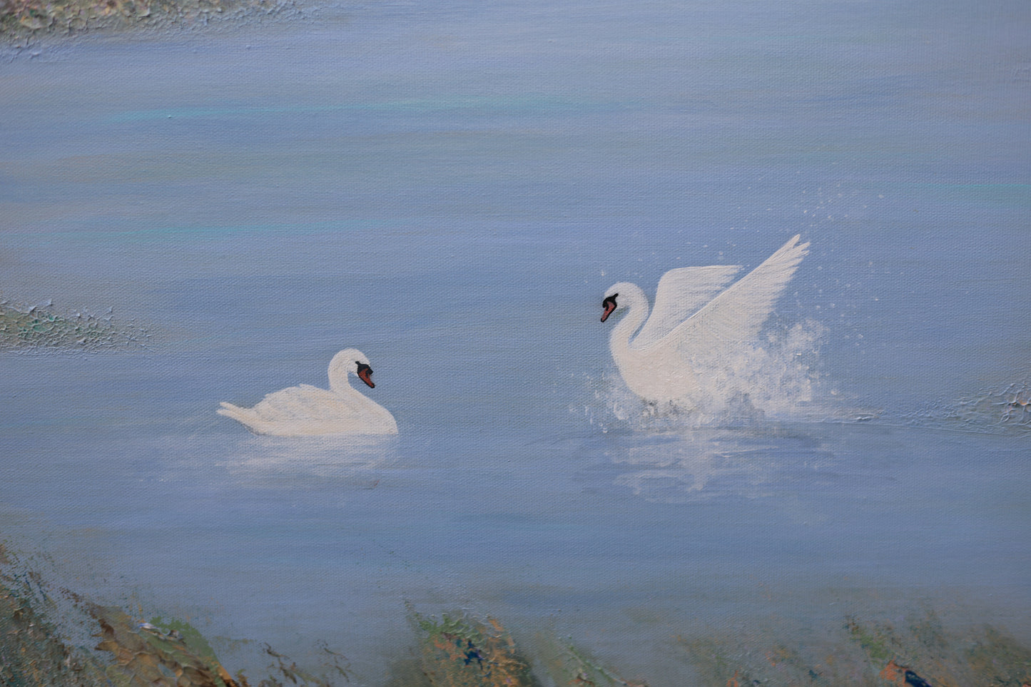 Swan Land