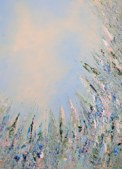 Summer Morning