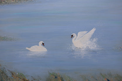 Swan Land