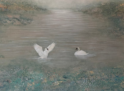 Serenade of Swans